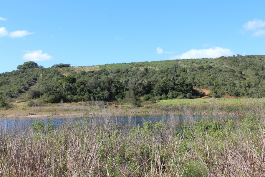 3 Bedroom Property for Sale in Bathurst Eastern Cape